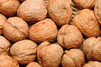 15 Walnut HD Wallpapers