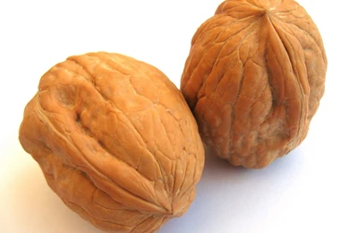 Funny 3D Backgrounds