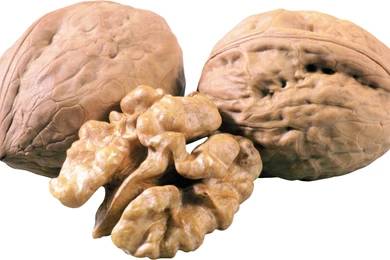 Walnut Computer Wallpapers, Desktop Backgrounds