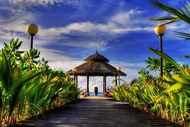 BEACH RESORT WALLPAPER   (