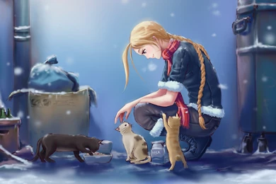 Cammy Street Fighter Wallpapers Wallpapers
