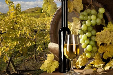 2560x1600 White, Wine, Barrel, Grapes, Vineyard, Tube Wallpapers ...
