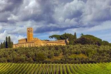 Tuscany Vineyard Wallpapers   Wallpaper.