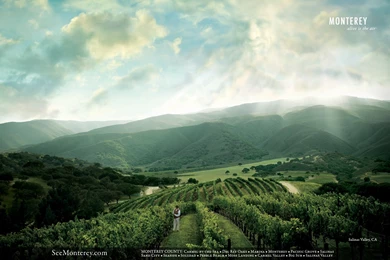 Wallpapers, Vineyard, Images, County, Desktop (