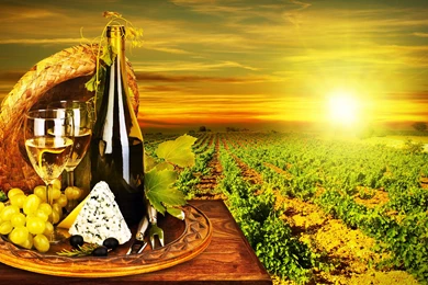 Wine Computer Wallpapers, Desktop Backgrounds
