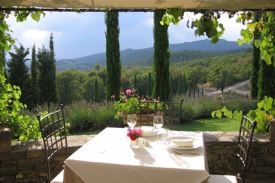 Tuscany Vineyard Wallpaper, Wallpaper, Tuscany Vineyard Wallpapers ...