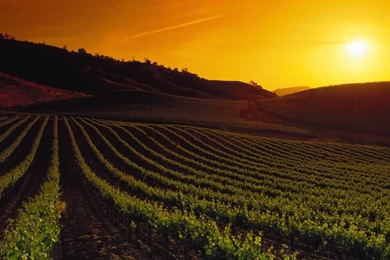 Valley Desktop Wallpapers   HD Wallpaper Backgrounds Of Your Choice