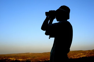 Desktop Wallpaper: Search Wallpapers