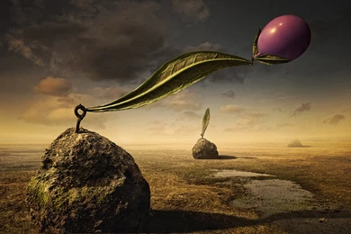 Abstract Hd Wallpapers 0061