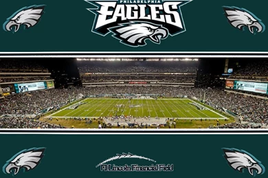 Nfl Field Wallpapers Photo