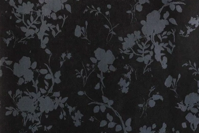 Wallpaper, Black, Grey Transitional Wallpapers By Wallpaper. Bird ...