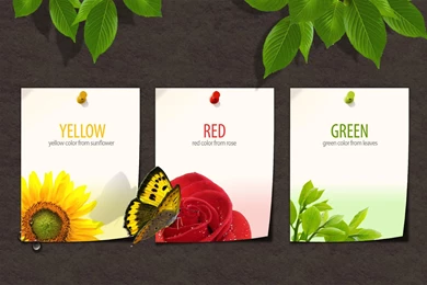 Cute Quotes Wallpapers 807694