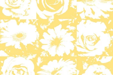 White Golden Yellow RB4207 Petal Pusher Wallpapers   Interior Home ...