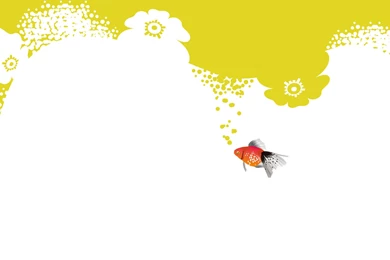 Download Wallpapers 3840x2160 Fish, Underwater, Yellow, White 4K ...