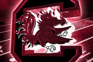 Amazon.com: South Carolina Gamecocks Revolving Wallpaper: Appstore ...