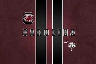 Gamecock Desktop Wallpapers   Wallpapers Zone