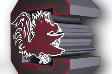 Gamecock Born & Bred (@GamecockBnB)