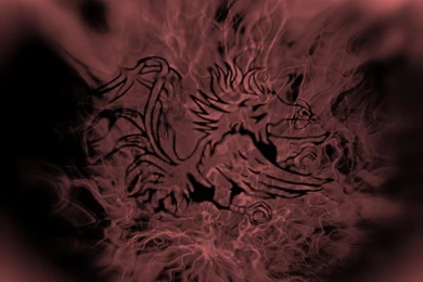 USC Wallpapers   Page 17   CockyTalk