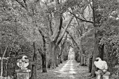 Shorpy Historic Picture Archive :: Gorey Manor: 1939 High ...