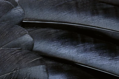 Download: 15 New IOS 9 Wallpapers For Any Device