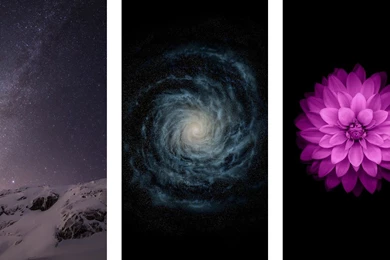 Download All 18 New IOS 8 And iPhone 6 Wallpapers!   IClarified