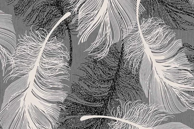 Viola Black Wallpapers