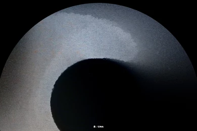 Ghostly International Media