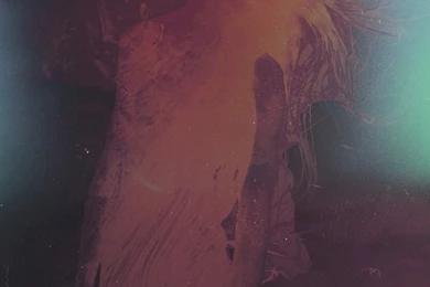 Everyday By Charles Bergquist