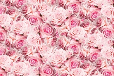 Pink Iphone Wallpapers Tumblr