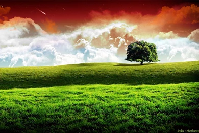 HD Wallpapers India   Wallpapers Cave