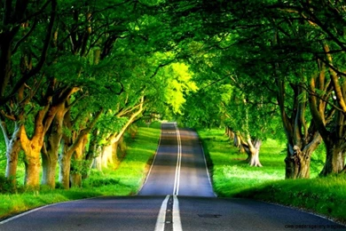 Writing Service   Full Hd Live Wallpapers Free Download For PC ...