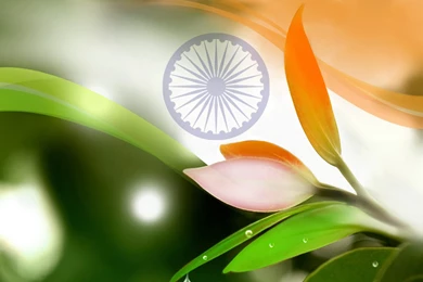 Happy Independence Day 2014 India HD Wallpapers And Photos ...