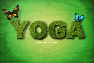 Yoga Feed Your Roots Wallpapers By Accomplicated On DeviantArt