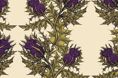 Timorous Beasties Grand Thistle Hand Print Wallpapers