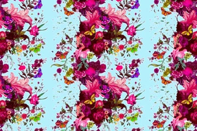 Timorous Beasties Wallcoverings   Butterfly Blurr Wallpapers