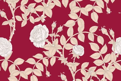 Timorous Beasties Wallcoverings   McGegan Rose