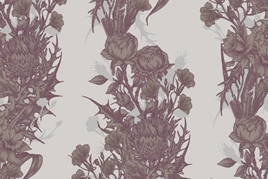 Timorous Beasties Wallcoverings   Union Wallpapers