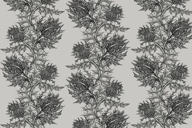 Timorous Beasties Thistle Wallpapers   Standard Roll