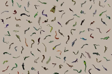 Timorous Beasties : Digital Collection – Flodeau