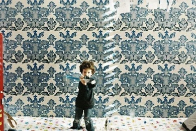 I Have Loved This Timorous Beasties Wallpapers For A Long, Long Time.