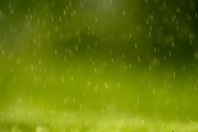 Rain iPad 3,4 & Air Wallpapers