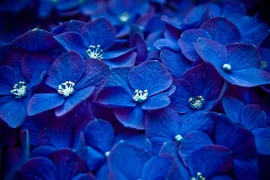 Pretty Blue Wallpapers   Wallpapers Cave