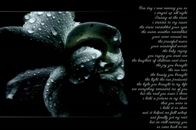 I Love You Poem Wallpaper, I Love You Wallpapers