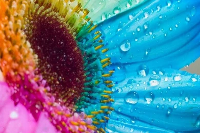 Colours Of Spring Wallpapers   (