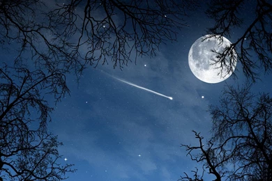 Pretty Wallpaper Images   Wallpapers Zone