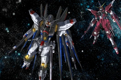 Strike Freedom & Infinite Justice : SEEDGundam