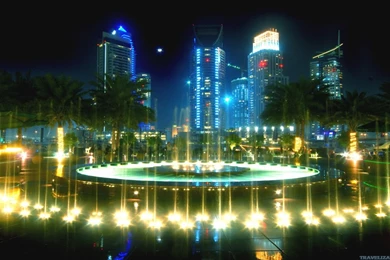 Photography   Page 246