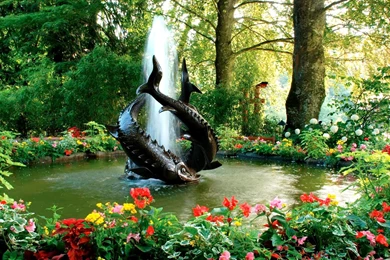 FOUNTAIN WALLPAPER   (