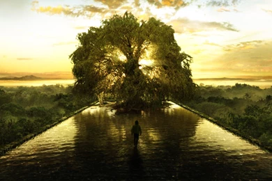 6 The Fountain HD Wallpapers