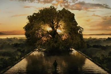 The Fountain Wallpapers